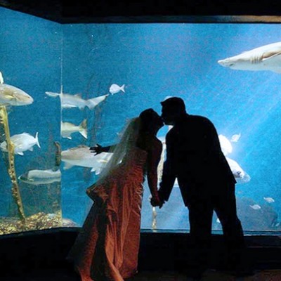 maritime aquarium weddings norwalk ct